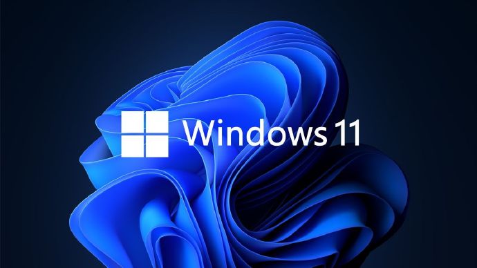 Win11直接运行安卓app教程介绍(win11运行安卓app后很难打开)