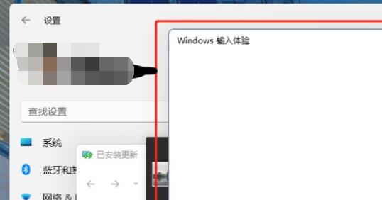 Win11输入体验关闭方法介绍(win11的windows输入体验怎么关闭)