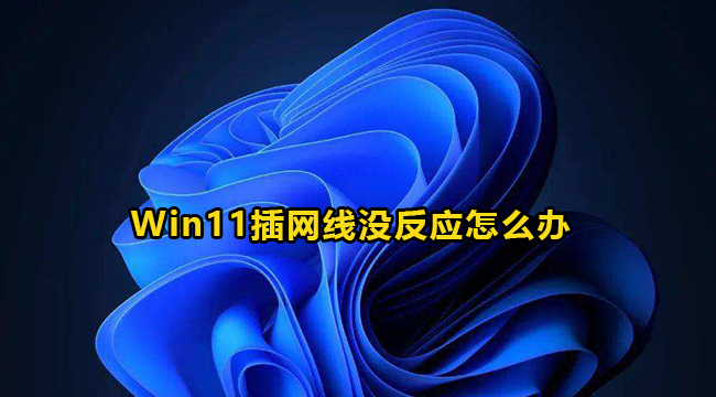 Win11插网线没反应解决办法介绍