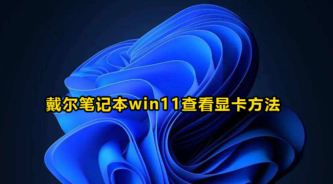 戴尔笔记本win11查看显卡方法介绍