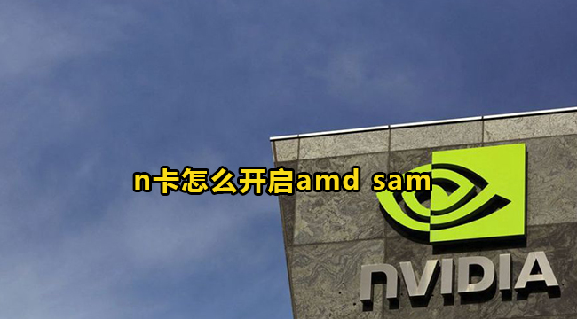 n卡怎么开启amd sam