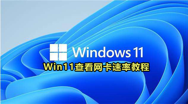 Win11查看网卡速率教程