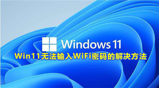 Win11无法输入WiFi密码的解决方法(win11怎么查看wifi密码)