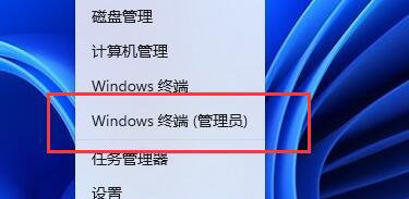 查看Win11电脑健康小技巧分享