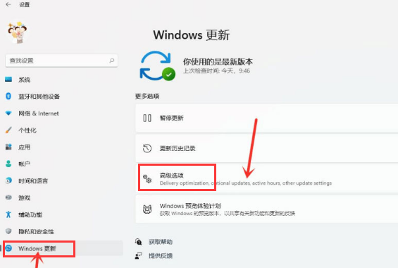 Windows11传递优化开启教程