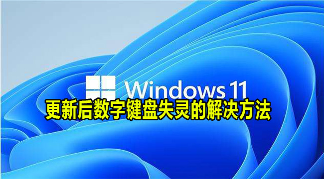 Win11更新后数字键盘失灵的解决方法(win11更新后数字键盘失灵)