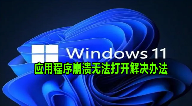 Win11系统应用程序崩溃无法打开解决办法