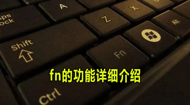 fn的功能详细介绍