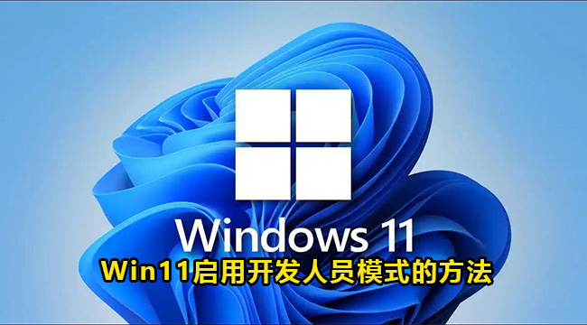 Win11启用开发人员模式的方法