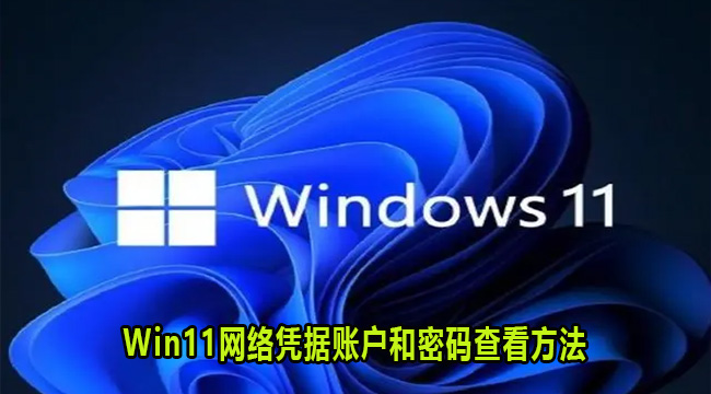 Win11网络凭据账户和密码查看方法