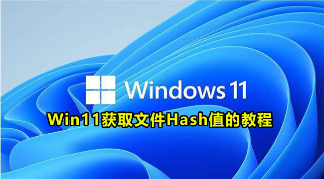 Win11获取文件Hash值的教程