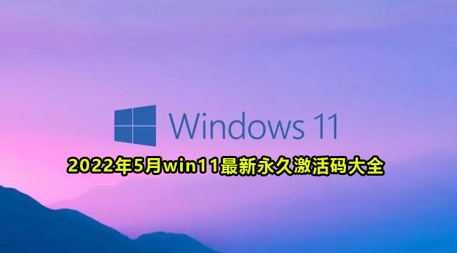 2022年5月win11最新永久激活码大全