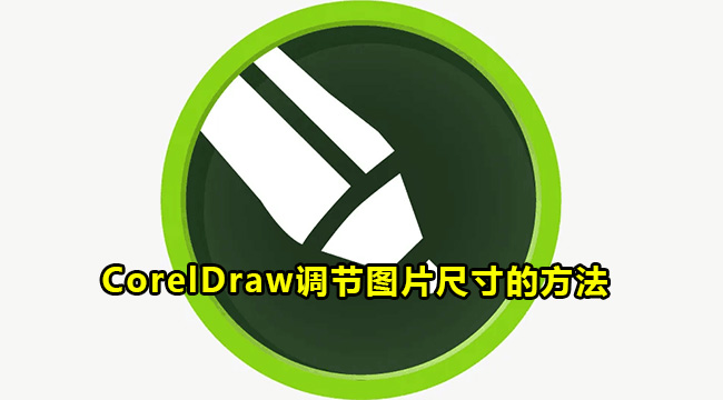 CorelDraw调节图片尺寸的方法