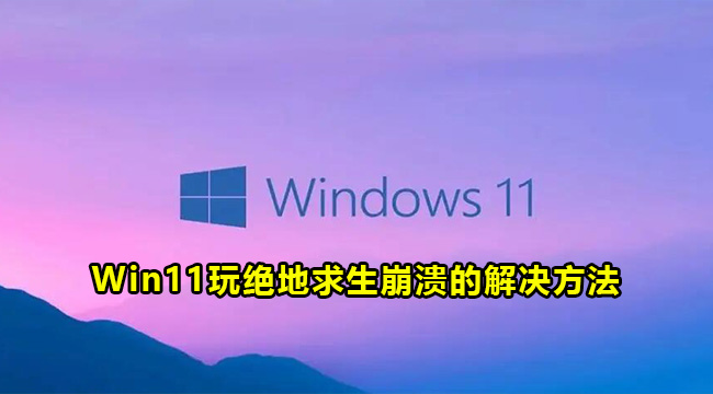 Win11玩绝地求生崩溃的解决方法