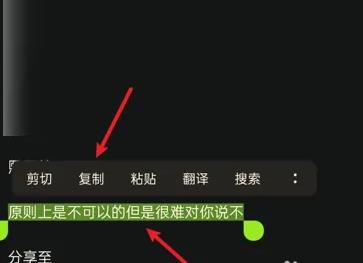 小红书复制文字内容的方法