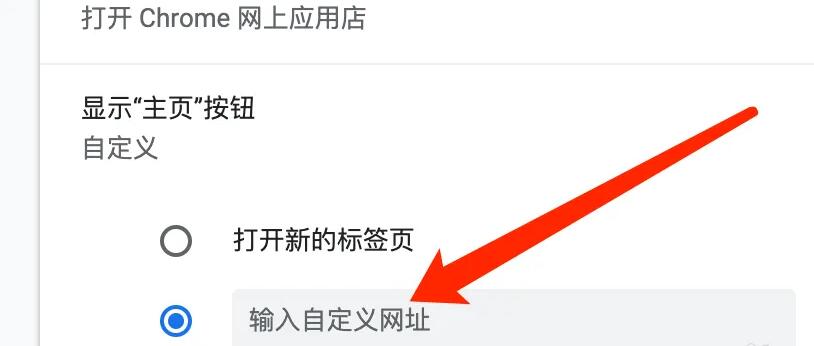 谷歌浏览器Mac版自定义主页网址的方法