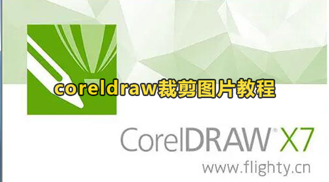 coreldraw裁剪图片教程