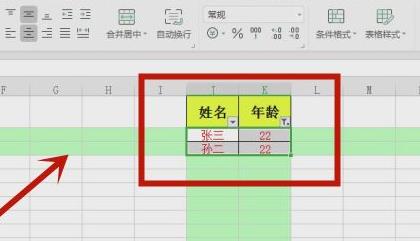 excel筛选出自己想要的数据教程