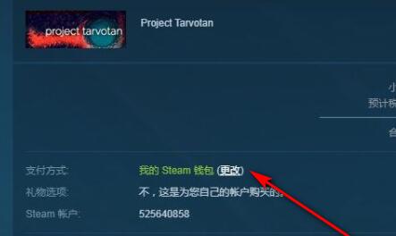 steam土耳其区支付方法