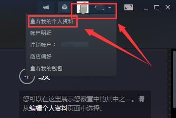 steam17位id位置