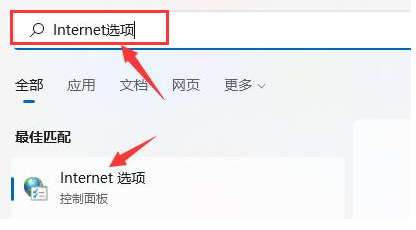 Windows11浏览器没有网解决办法