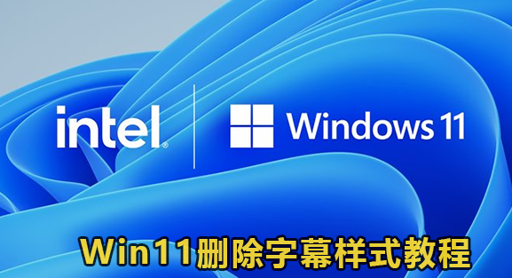 Win11删除字幕样式教程