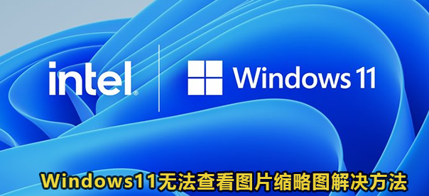 Windows11无法查看图片缩略图解决方法