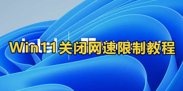 Win11关闭网速限制教程