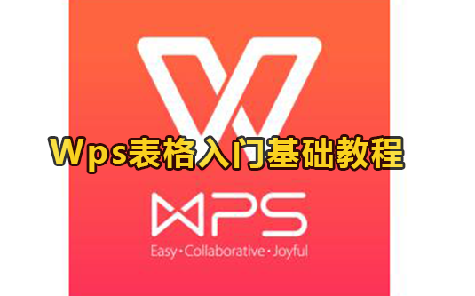 Wps表格入门基础教程