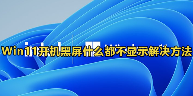 Win11开机黑屏什么都不显示解决方法