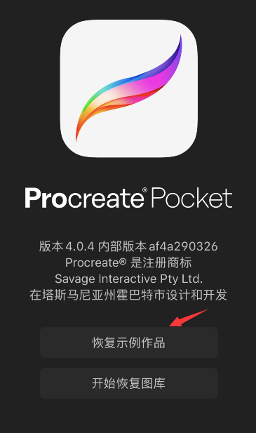 procreate pocket恢复示例作品教程