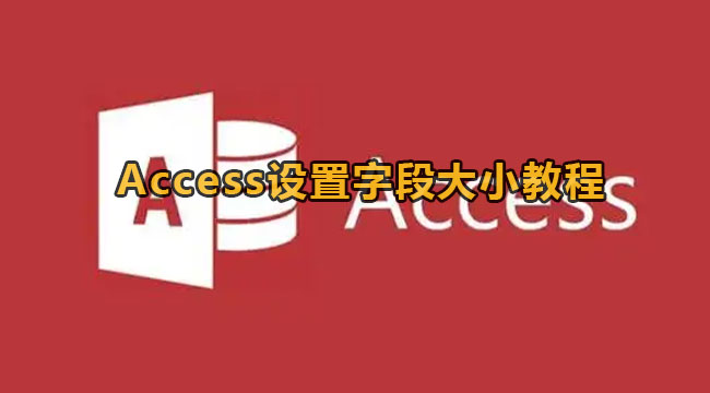 Access设置字段大小教程