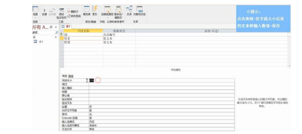 Access设置字段大小教程