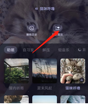 猫耳fm专注模式添加喜欢的方法