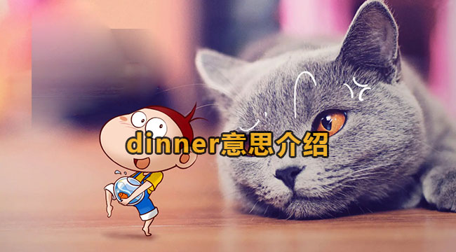 dinner意思介绍