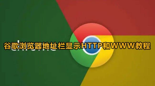 谷歌浏览器地址栏显示HTTP和WWW教程