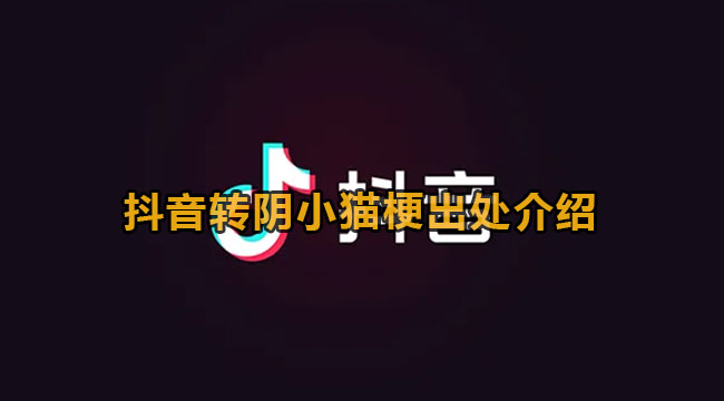 抖音转阴小猫梗出处介绍(转阴是什么意思?)