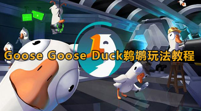 Goose Goose Duck鹈鹕玩法教程