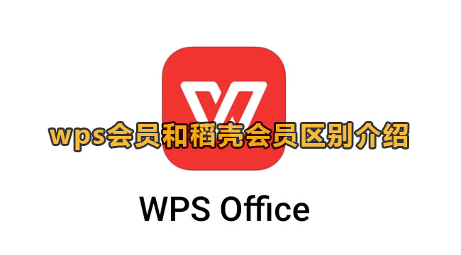 wps会员和稻壳会员区别介绍