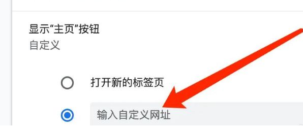 谷歌浏览器自定义主页网址方法