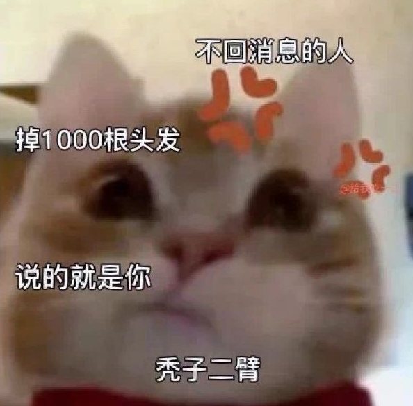 抖音歪嘴小猫梗出处介绍