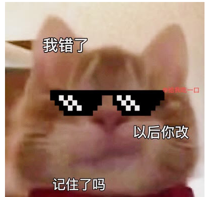 抖音歪嘴小猫梗出处介绍