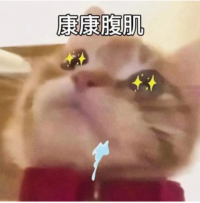 抖音歪嘴小猫梗出处介绍