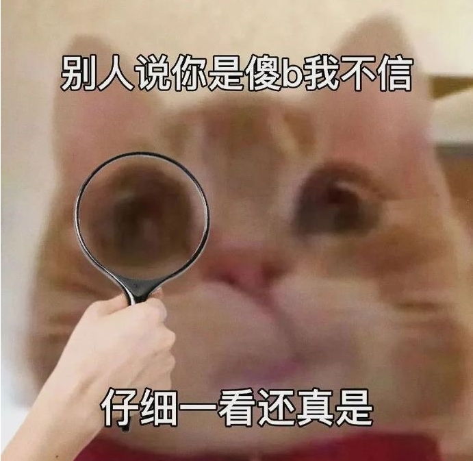 抖音歪嘴小猫梗出处介绍