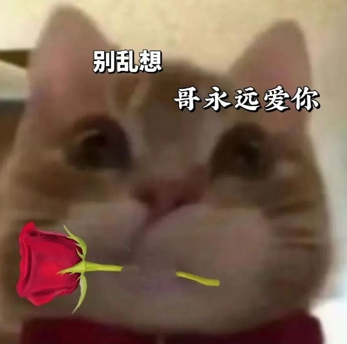 抖音歪嘴小猫梗出处介绍