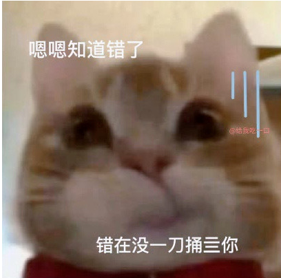 抖音歪嘴小猫梗出处介绍