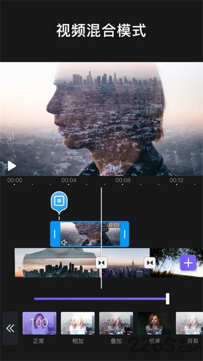 videoleap pro