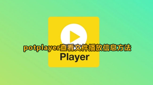 potplayer查看文件播放信息的方法