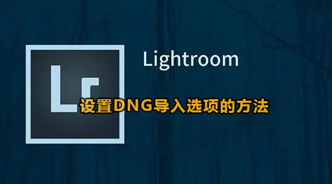 lightroom设置DNG导入选项的方法