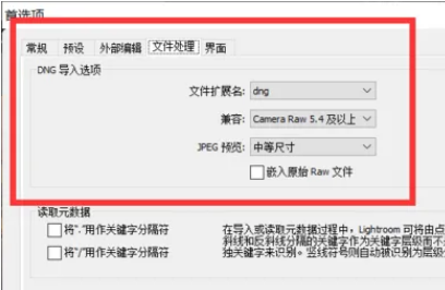 lightroom设置DNG导入选项的方法